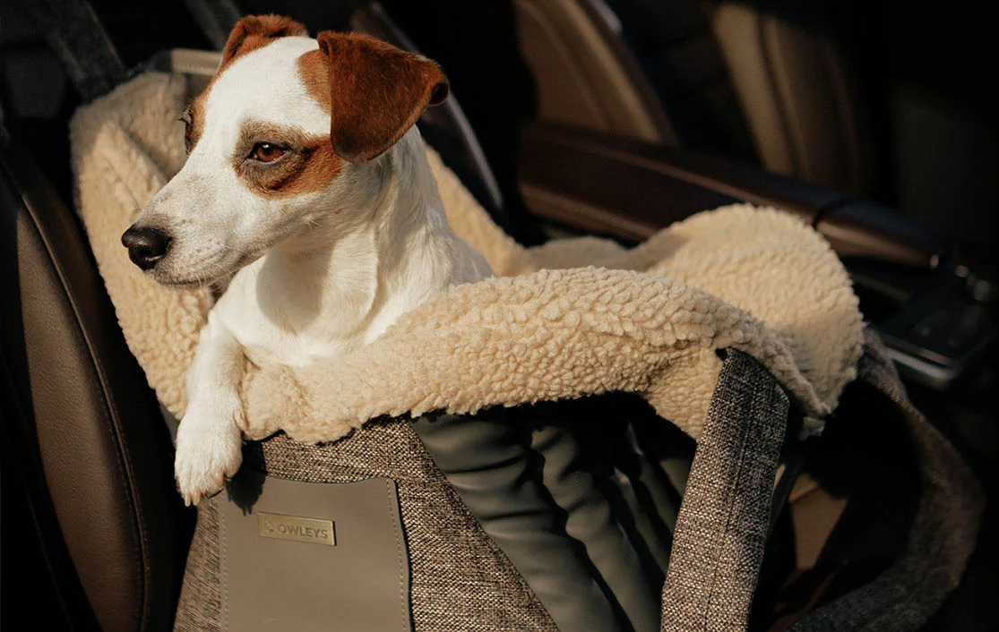 Mexican Hairless Dog Carrier Car Seat for Honda Pilot